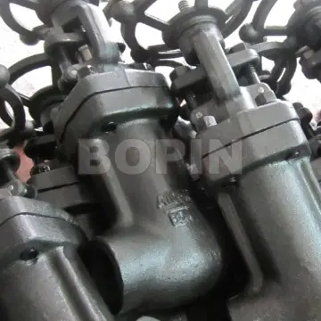 Forged Steel Bellows Sealed Globe Valve