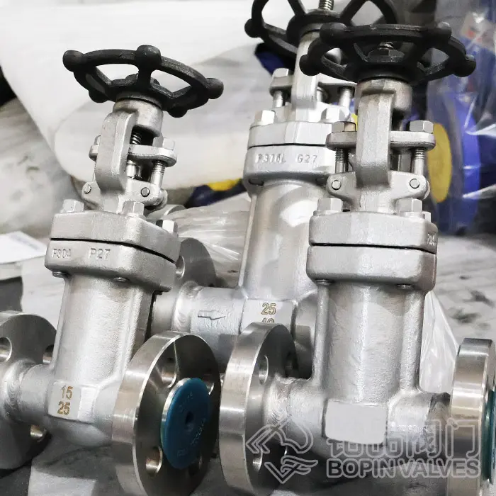 F304 Forged Stainless Steel Bellows Sealed Gate Valve.jpg