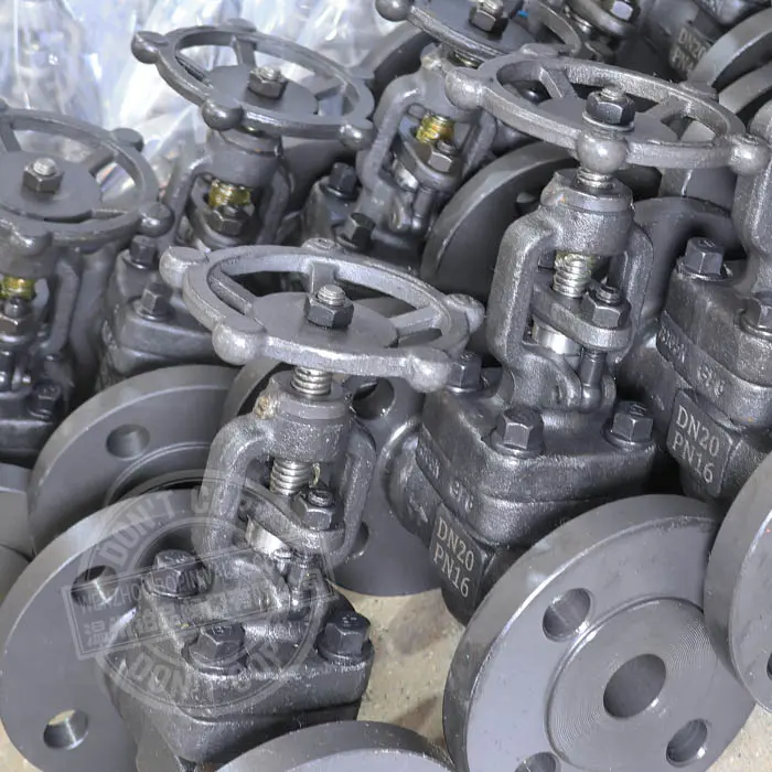 FLANGE END FORGED STEEL GLOBE VALVE.jpg