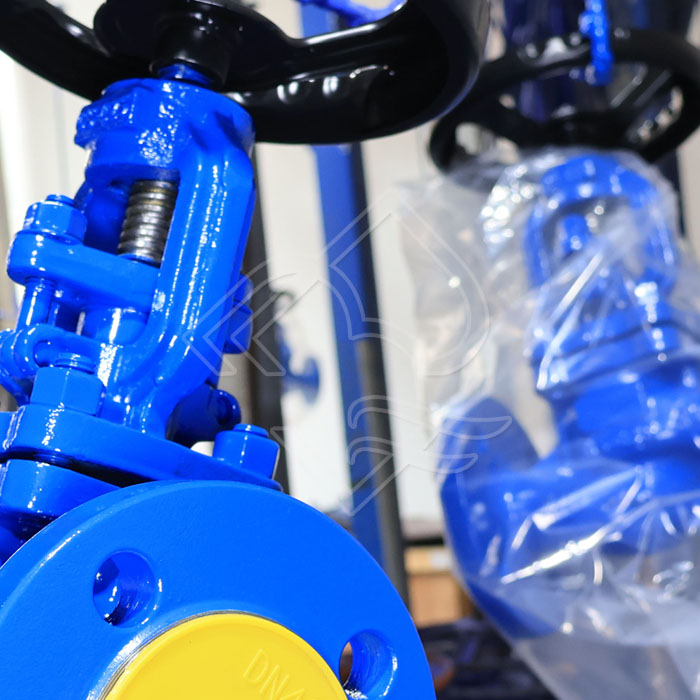 GLOBE CHECK VALVE MANUFACTURER.jpg