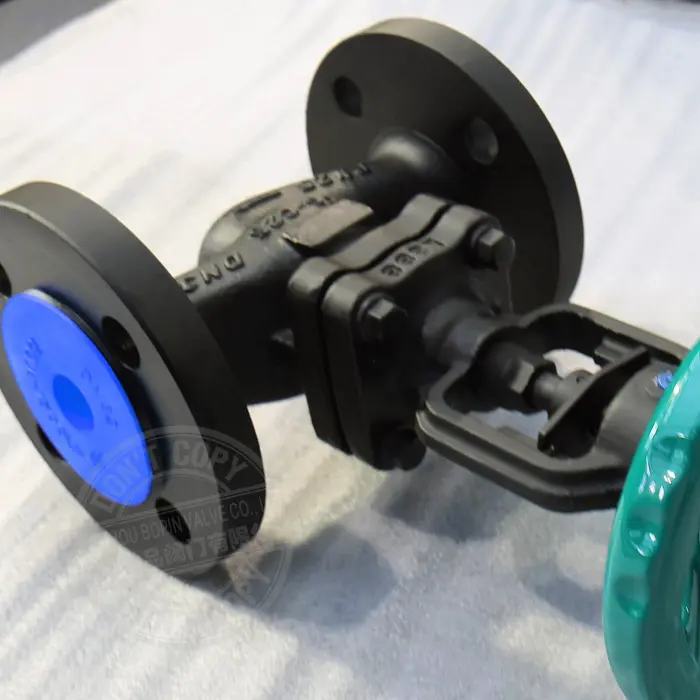 DIN globe valve with bellows.jpg